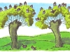 p0080 p0080