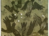 p0120 p0120