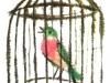p0005 p0005